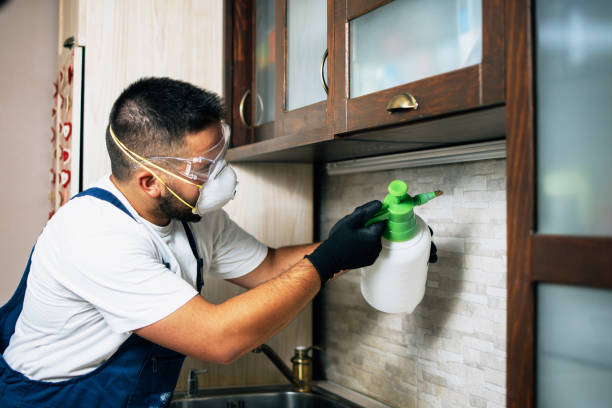 Pest Prevention Services in St Robert, MO