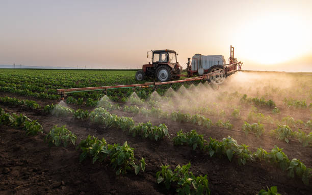Reliable St Robert, MO Pest Control Solutions